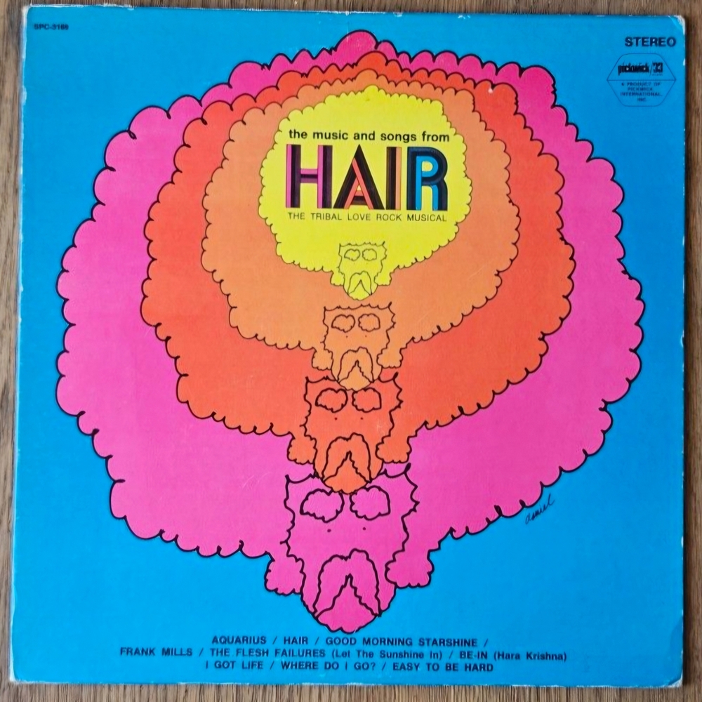 Vintage 1970s 'Hair' The Musical Vinyl Record In Originsl Jacket -